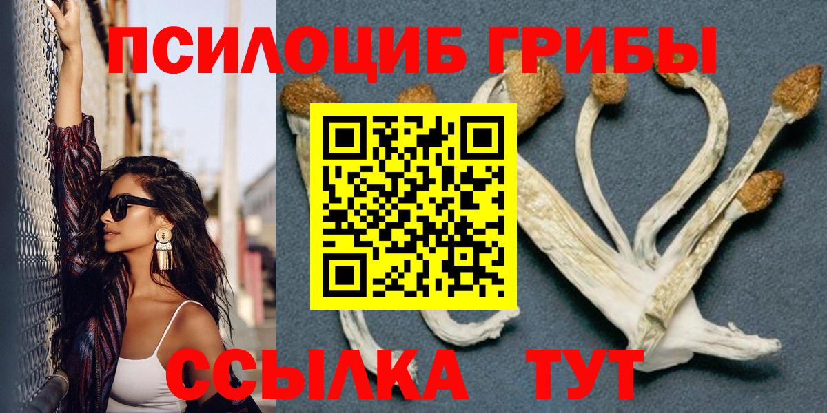 Псилоцибиновые грибы прущие грибы  Псилоцибиновые грибы GOLDEN TEACHER  Рыбинск  Вход с VPN 