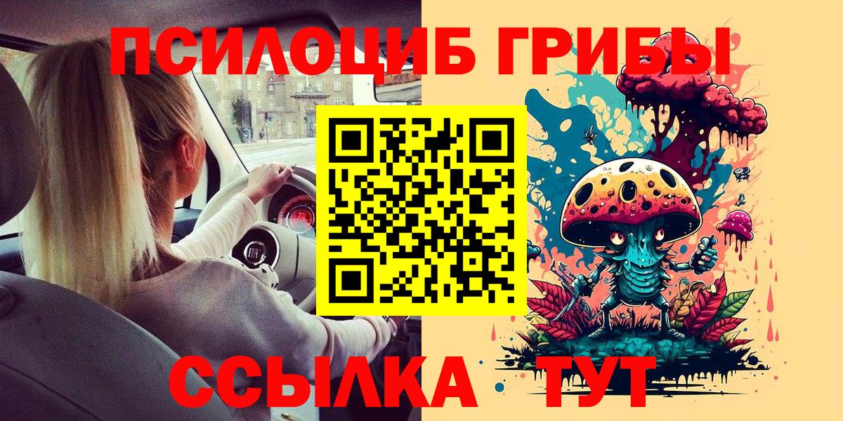 Галлюциногенные грибы Psilocybine cubensis Рыбинск